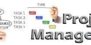 Project Consultant