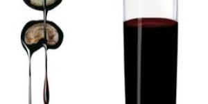 Cashew Nut Shell Liquid