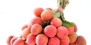 Litchis