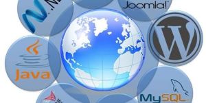 Web Application Development