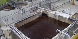 Sewage Treatment Plant Services
