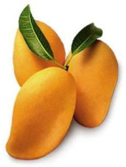 Fresh Mango