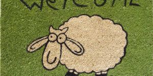 PVC/Coir Mats & Rolls