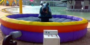 Inflatable Bull Ride