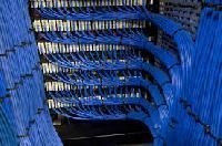 Voice Data Network Cables