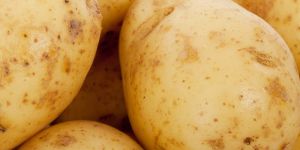 Potato