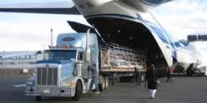 Air Freight Service