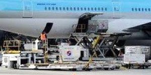 Domestic Road Freight Forwarding