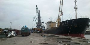 Sea Freight Forwarding from India Via Mumbai Port