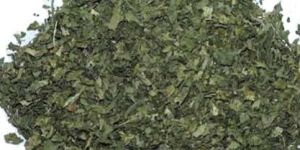 Dehydrated Coriander Leaves