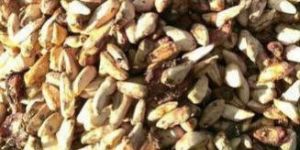 Dried Pomegranate Seeds