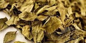 Dried Curry Leaves