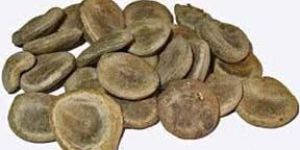 Strychnos Nux Vomica