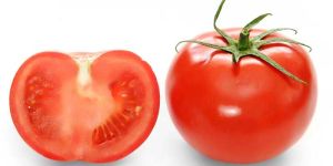 Fresh Tomato
