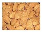 Almond Kernels