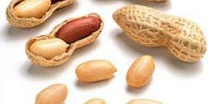Shelled Peanuts