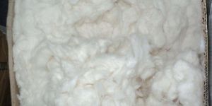 Cleaning Waste Cotton