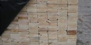 Southern Yellow Pine (Syp)