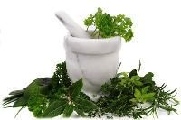 Herbal Veterinary Medicine