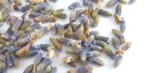 Dried Lavender Flower