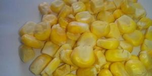 Freeze Dried Sweet Corn