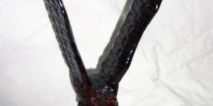 Decorative Showpiece