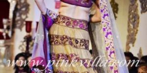 Net Lehenga Choli