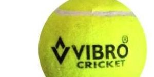 Cricket Tennis Ball