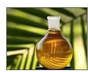 Palm Oil