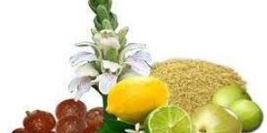 Bhringraj Powder