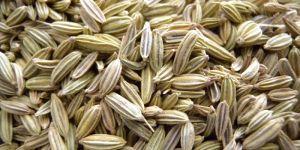 Fennel Seeds