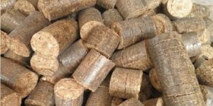 Bio Coal Briquettes