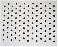 Stainless Steel Perforated Sheets