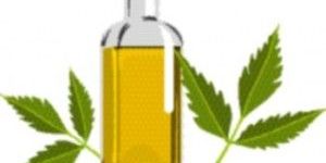 Neem Oil
