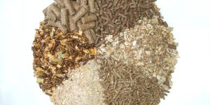 Animal Feed