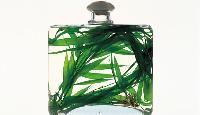 Natural Perfume