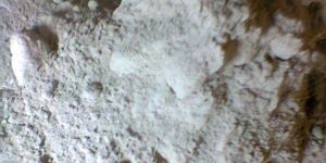 C Type Fly Ash