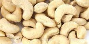 Cashew Nuts