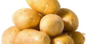 Potato