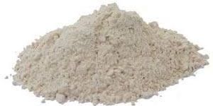 Onion Powder