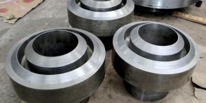 Stainless Steel Forging