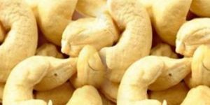 Cashew
