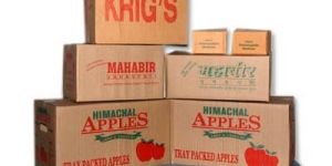 Fruit Corrugated Boxes
