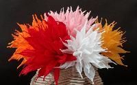 Paper Flowers