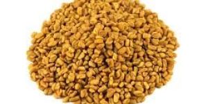 Fenugreek Seeds