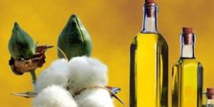Cottonseed Oil