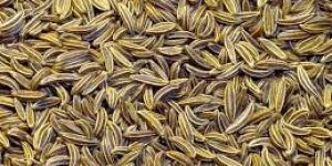 Cumin Seeds
