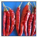 S12 Dried Red Chilli