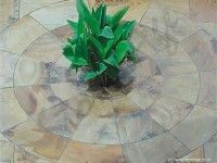 Sandstone Paving Medallion Tiles