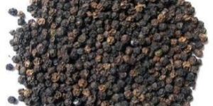 Black Pepper Seeds